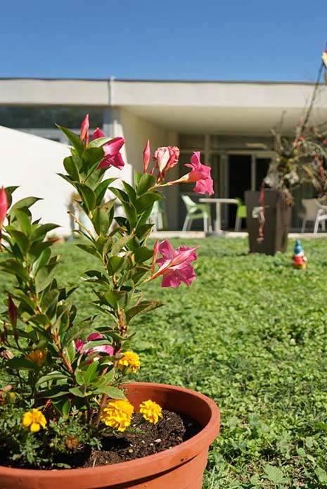 Jardin