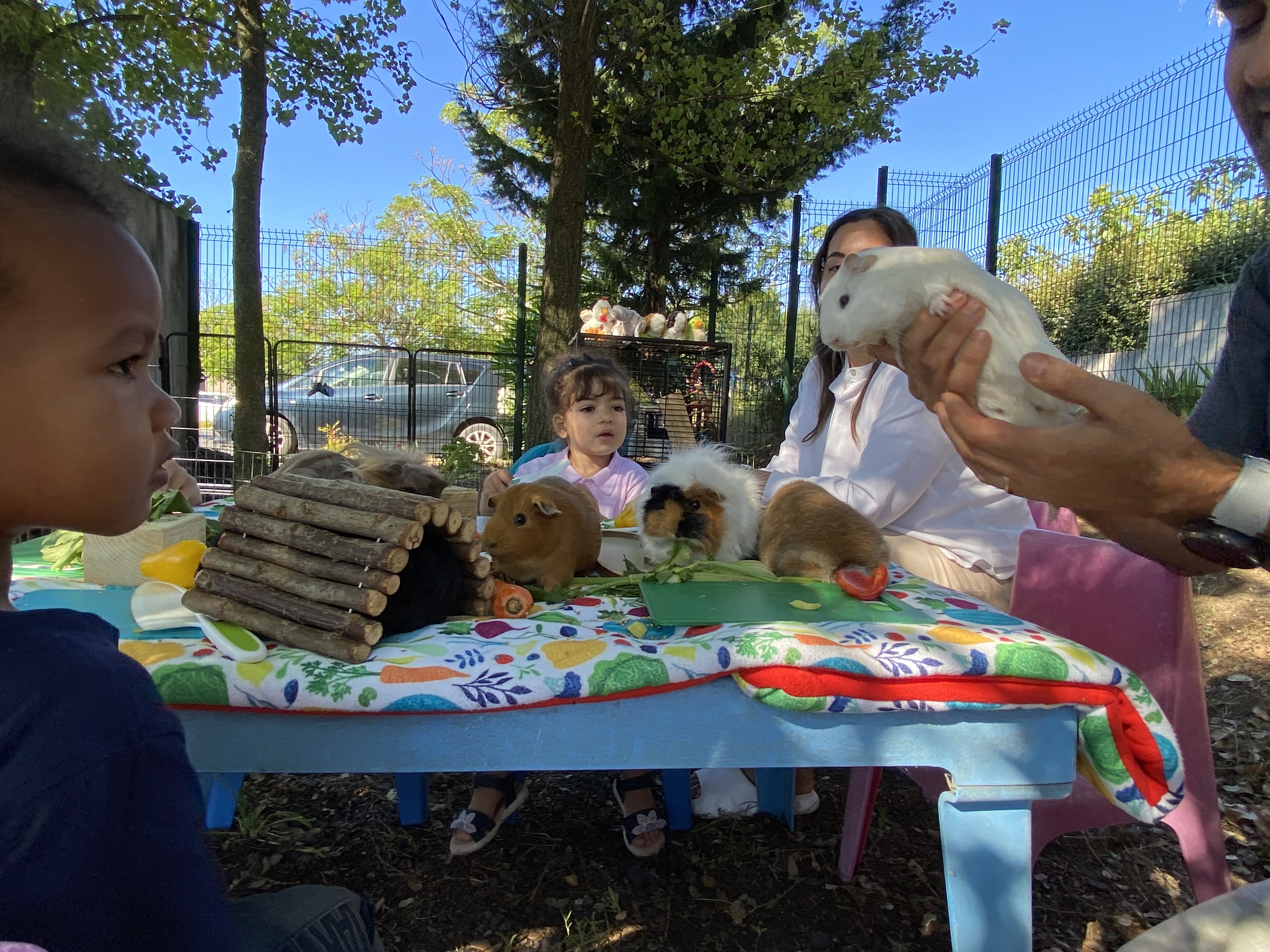 ATELIER ZEN'ANIMO - CRECHE ÉCLATS DE RIRE (MONTAGNAC, 34)