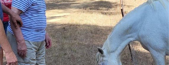 UN ÉTÉ ANIMÉ POUR L'ACCUEIL DE JOUR