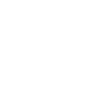 Optique